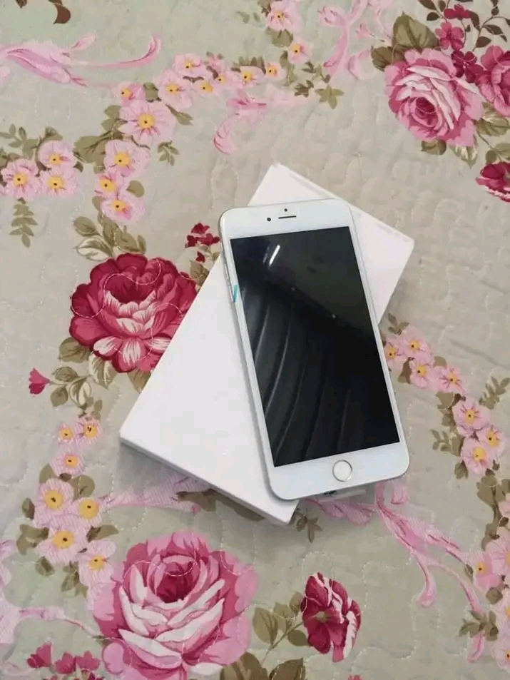iPhone 6 normal