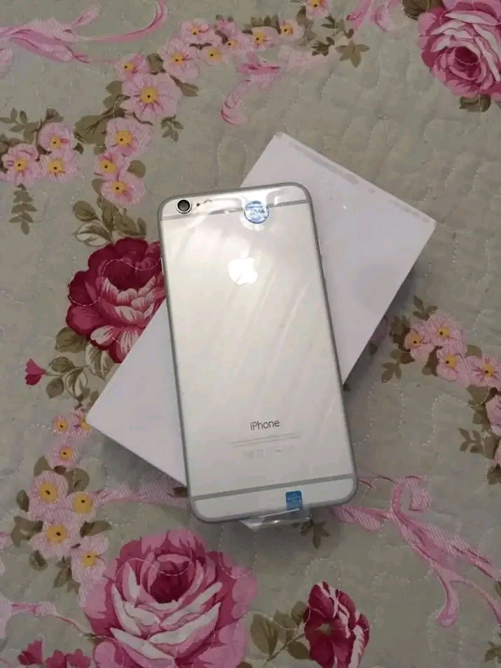 iPhone 6 normal  - Imagem 2
