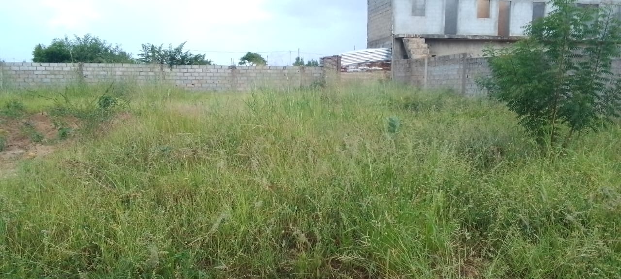 Terreno a venda no Benfica zona verde  - Imagem 2