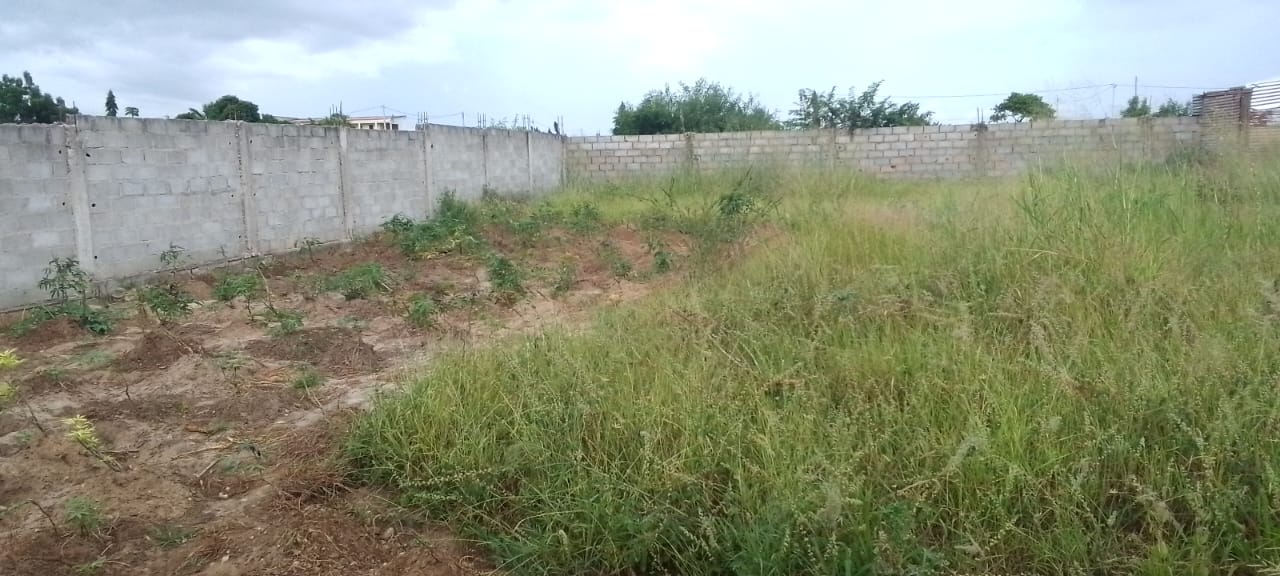 Terreno a venda no Benfica zona verde  - Imagem 5