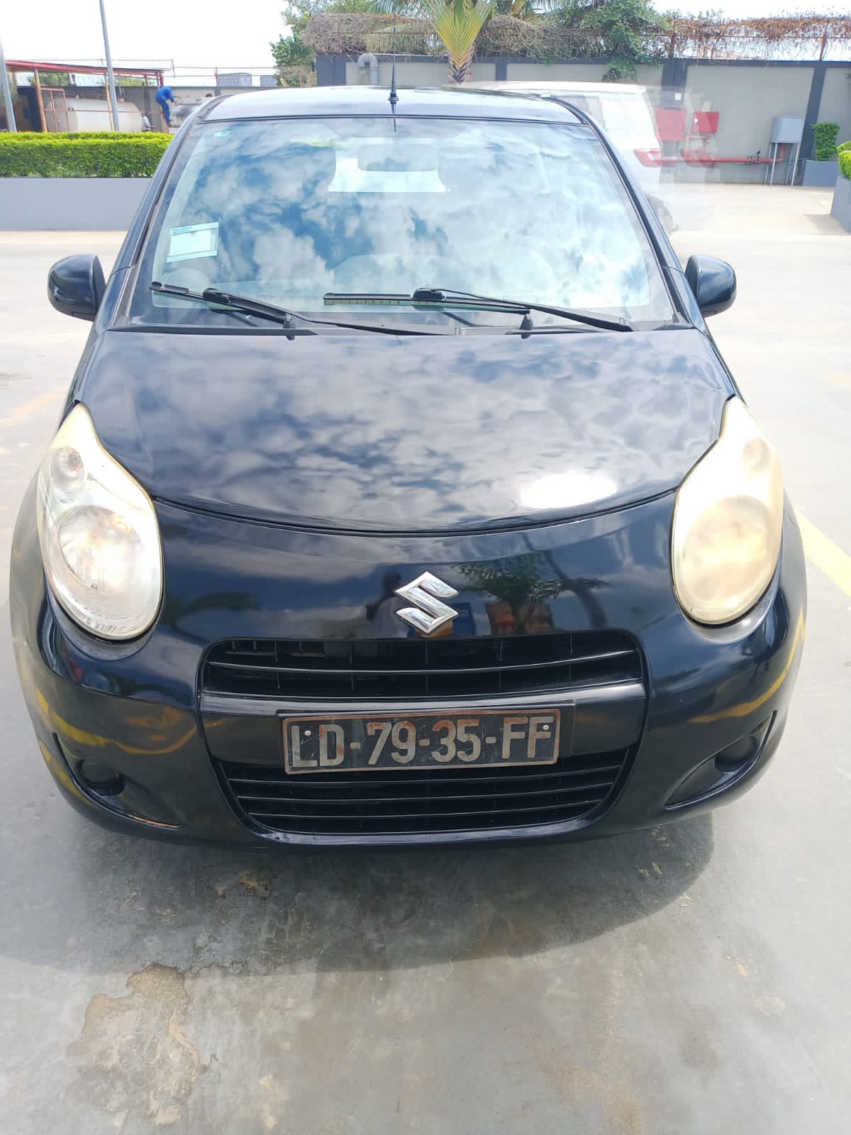 Suzuki celeiro 
