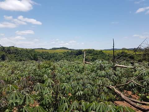 Fazenda a venda no Bengo 