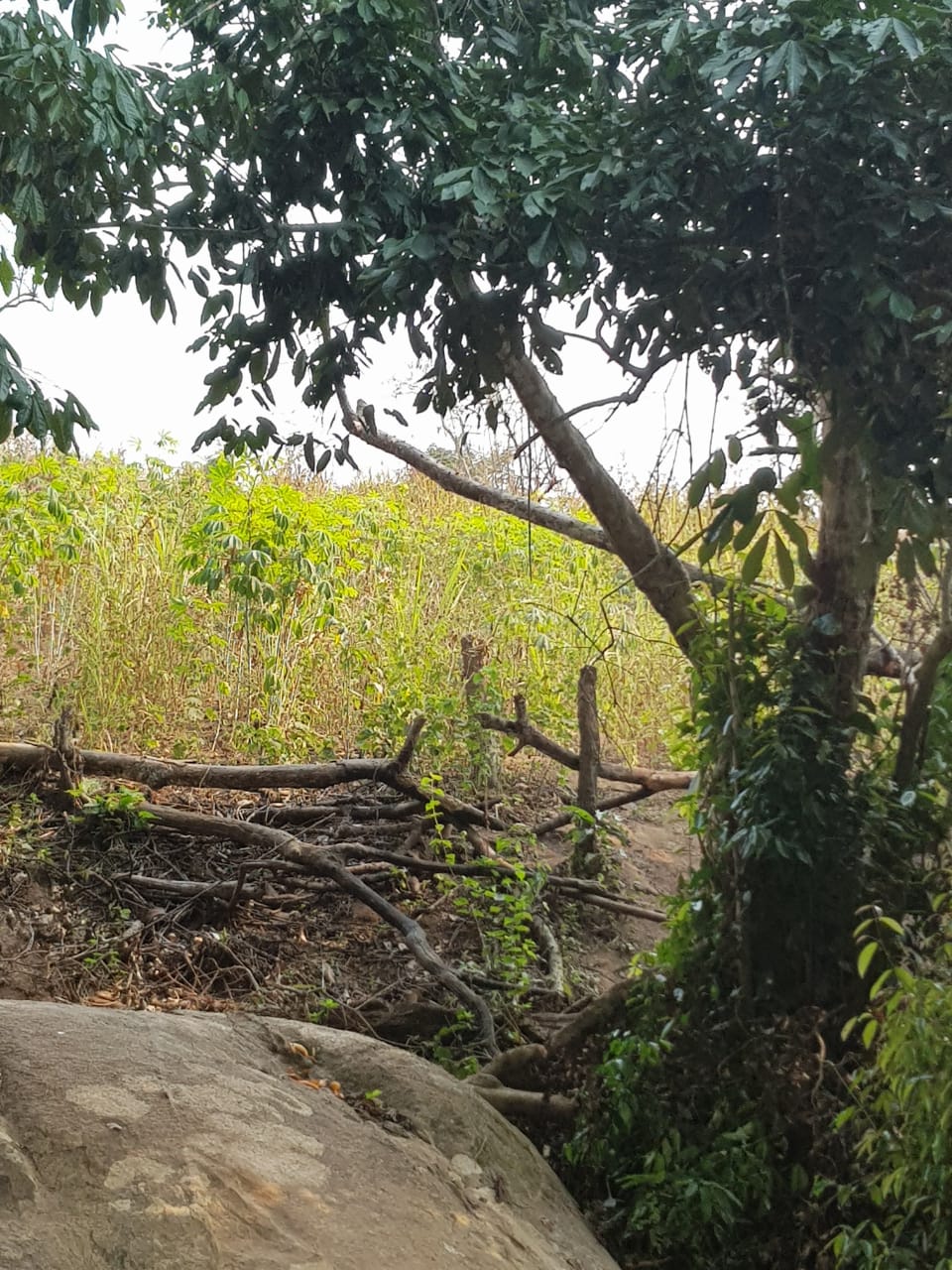 Fazenda a venda no Bengo  - Imagem 2