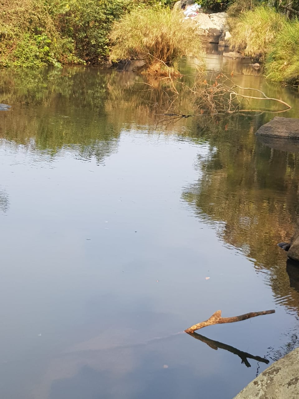 Fazenda a venda no Bengo  - Imagem 3