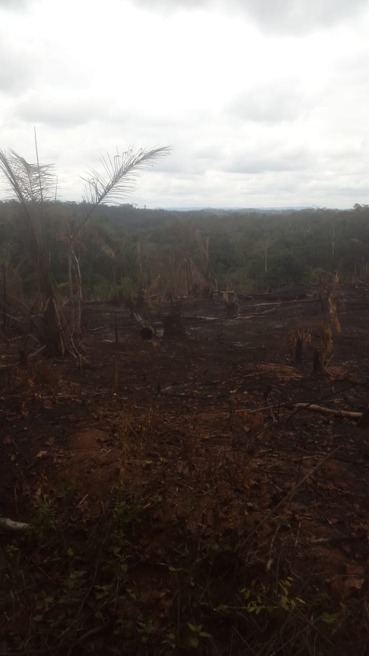 Fazenda a venda no Bengo  - Imagem 5