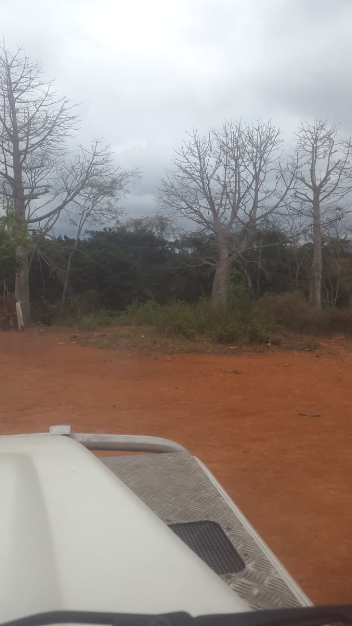 Fazenda a venda no Bengo  - Imagem 6