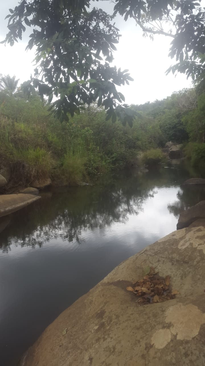 Fazenda a venda no Bengo  - Imagem 8