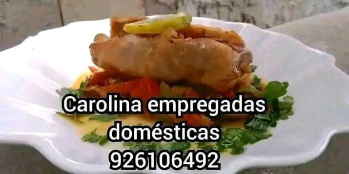 Doméstica interna externa - Imagem 7