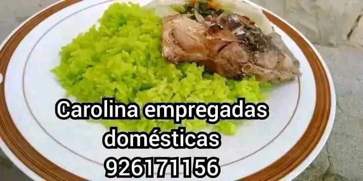 Doméstica interna externa - Imagem 8