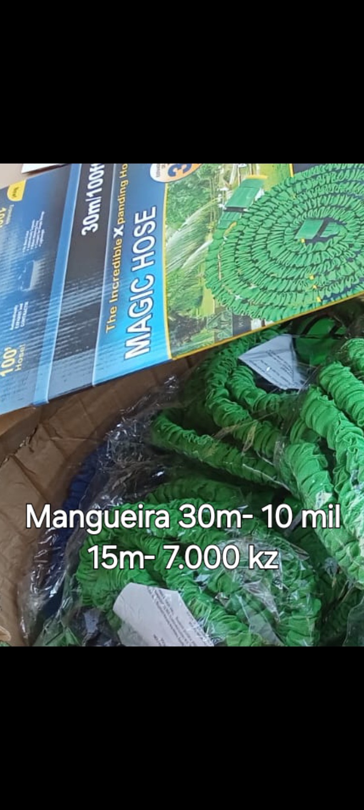 Mangueira 