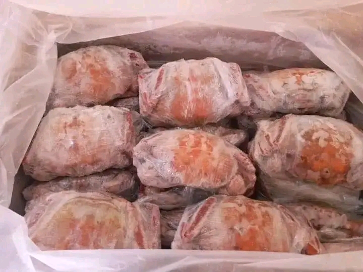 Peixes e marisco  - Imagem 4
