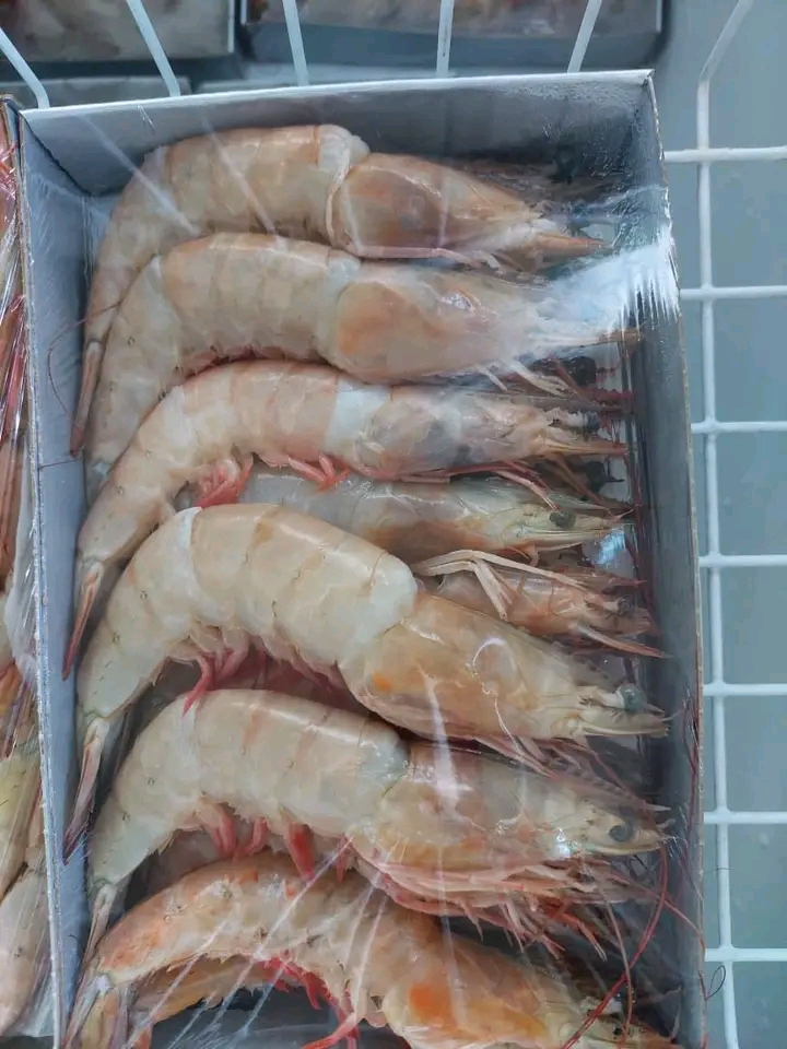 Peixes e marisco  - Imagem 5