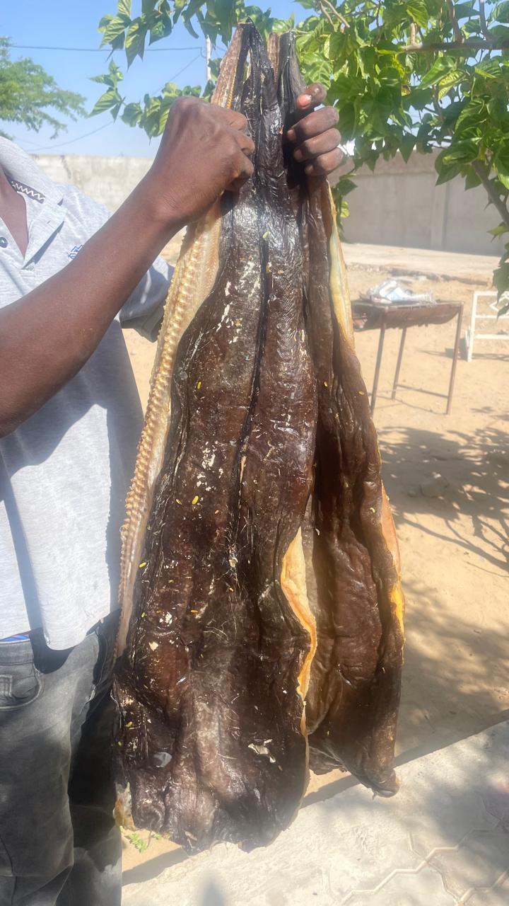 Peixes e marisco  - Imagem 4