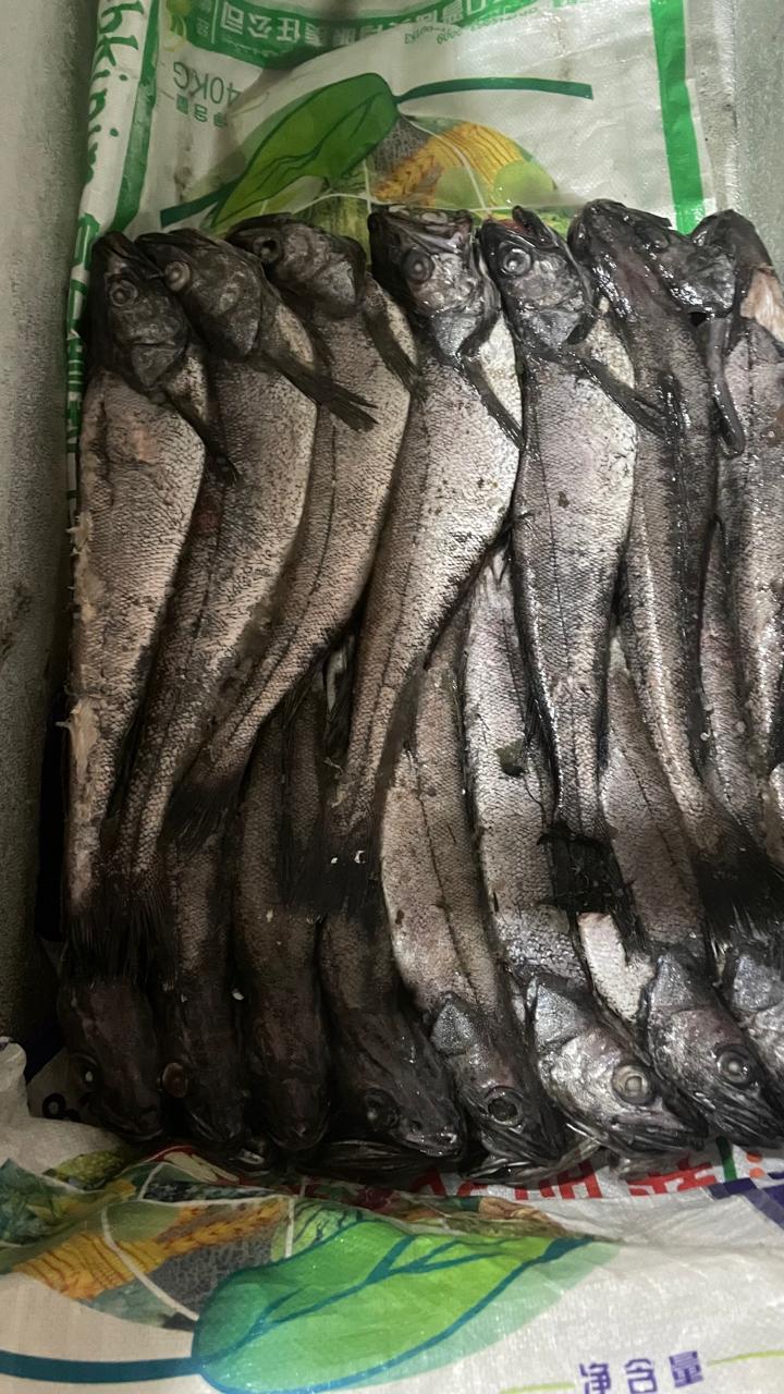 Peixes e marisco  - Imagem 5