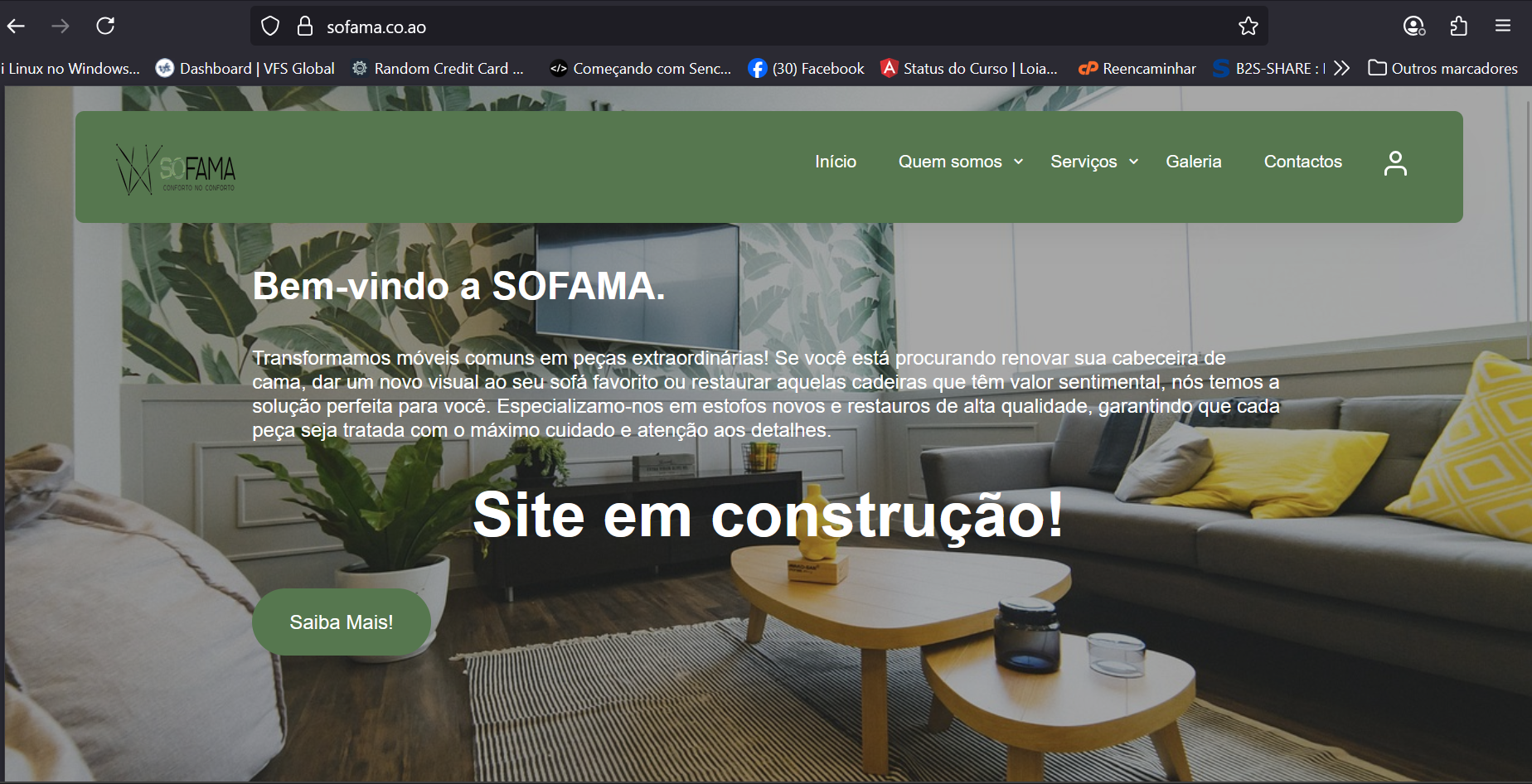 Desenvolvimento de Website