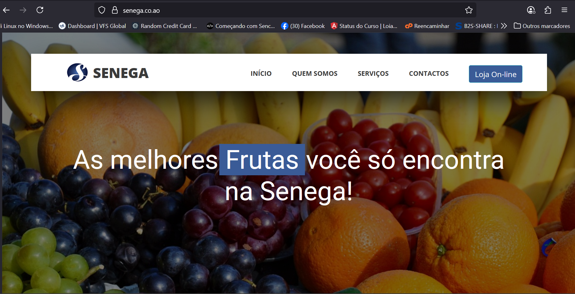 Desenvolvimento de Website - Imagem 2