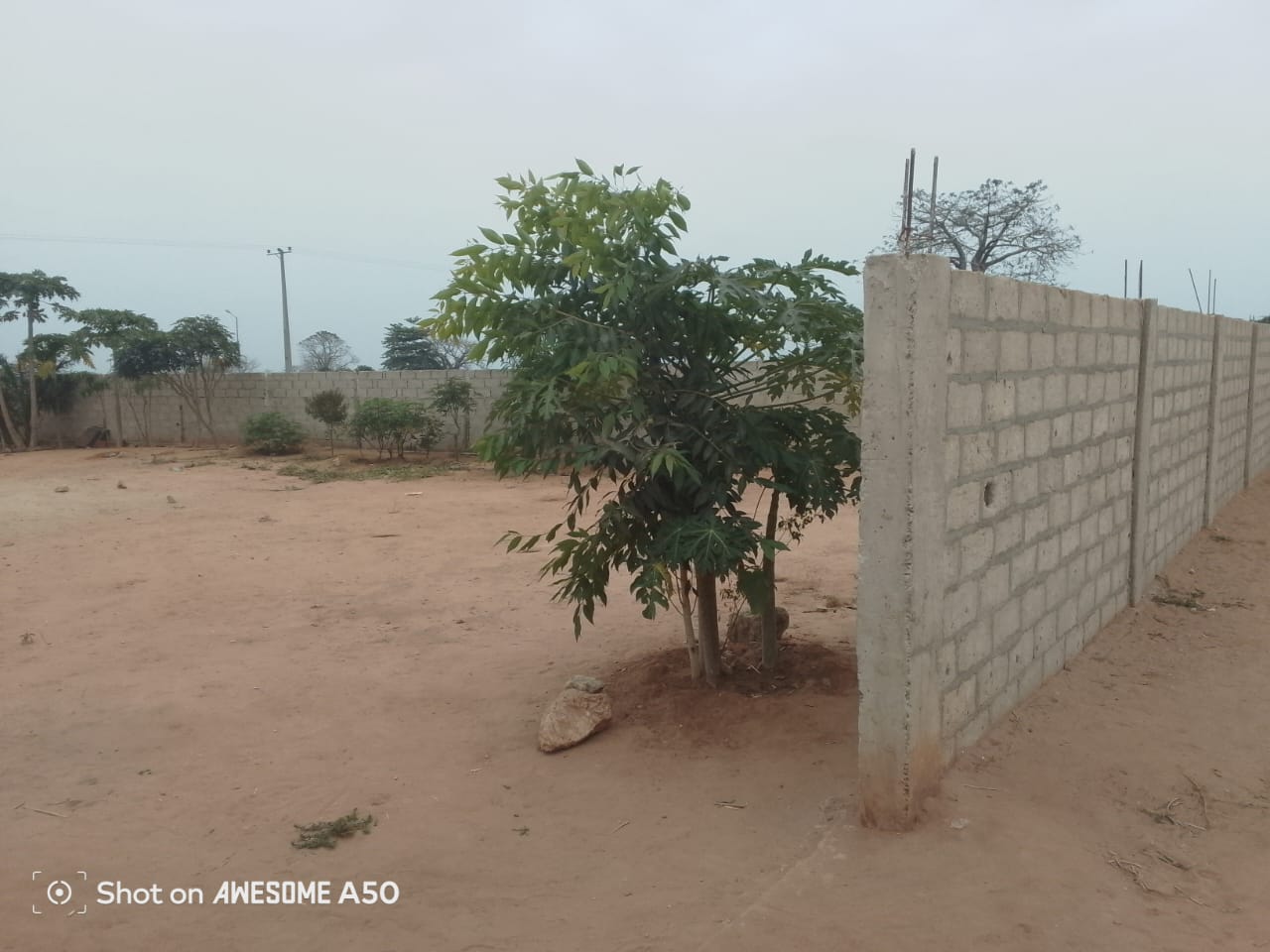 Terreno frente ao asfalto da 5M Cacuaco  - Imagem 3