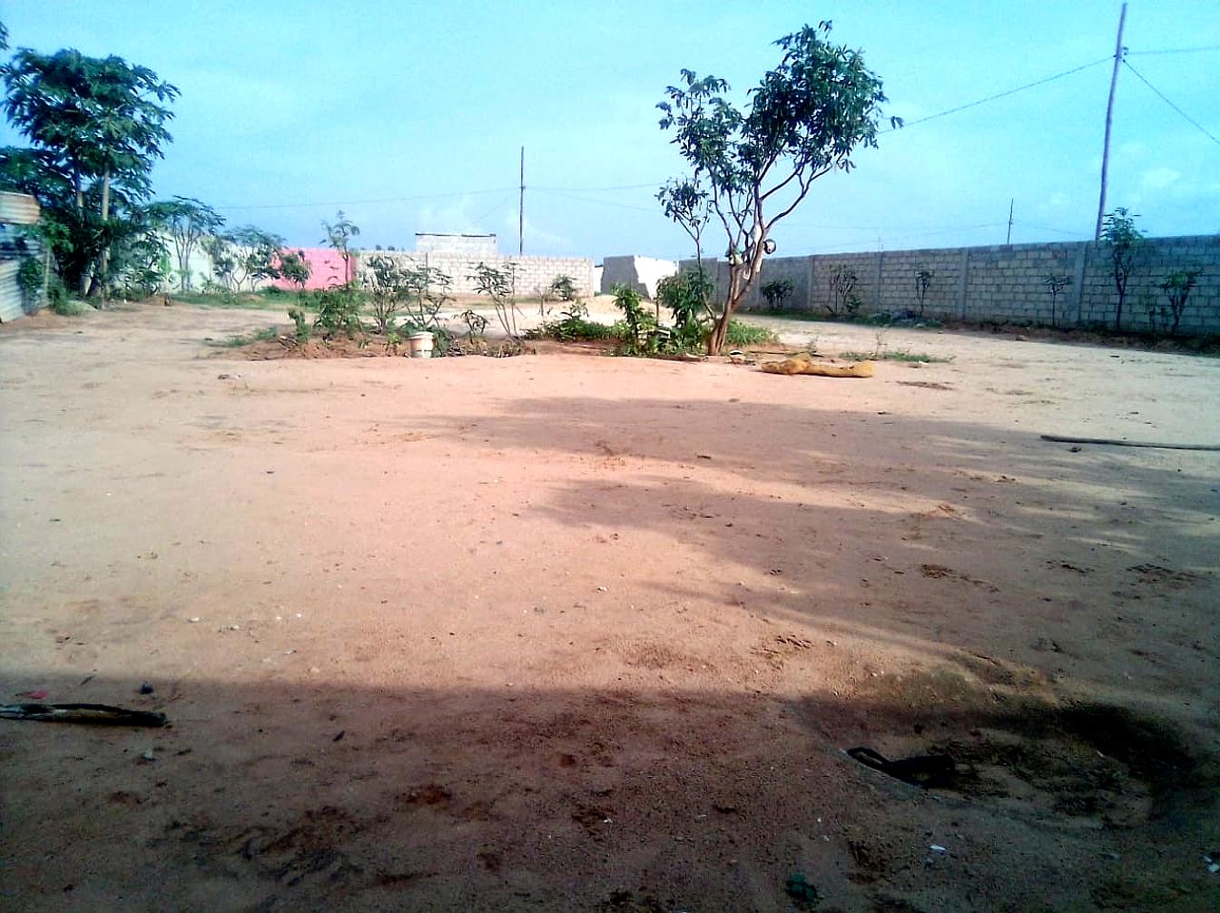 Terreno frente ao asfalto da 5M Cacuaco  - Imagem 6