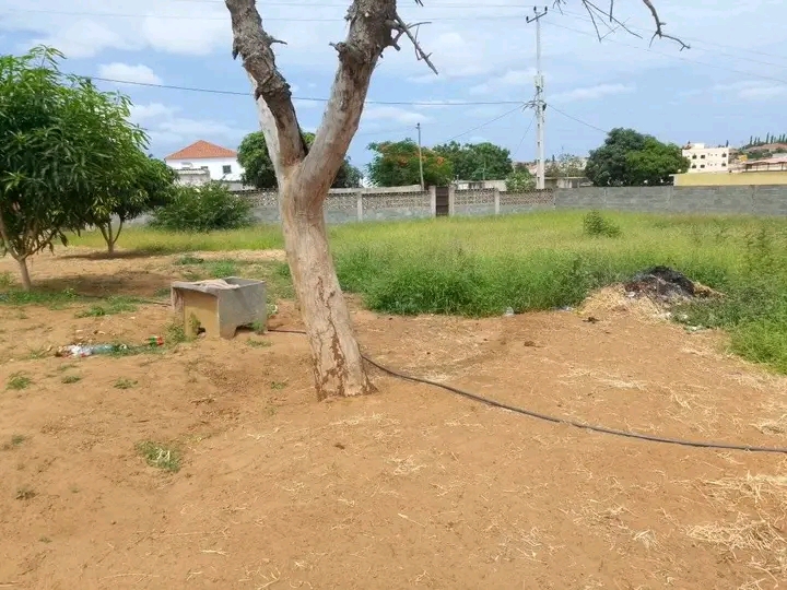 Vende-se este terreno  - Imagem 5