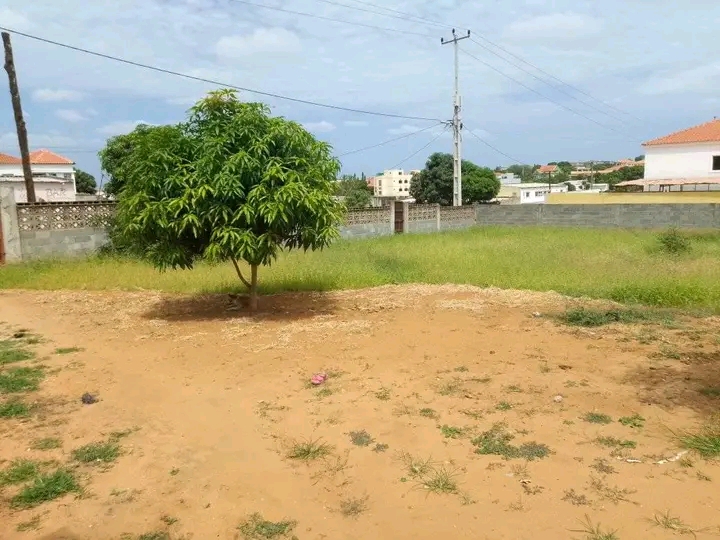 Vende-se este terreno  - Imagem 6