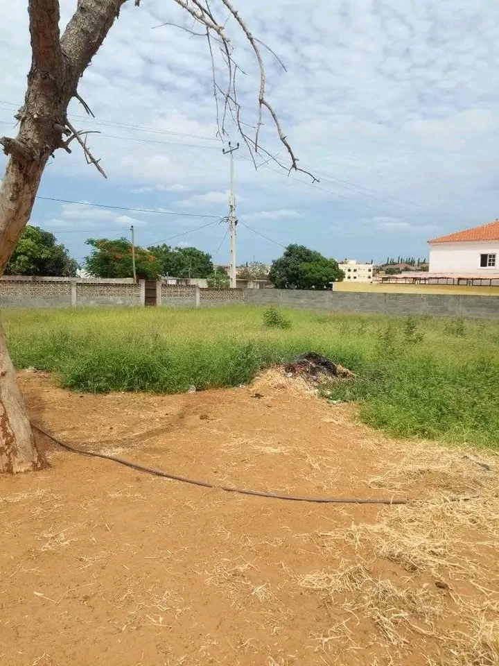 Vende-se este terreno  - Imagem 7