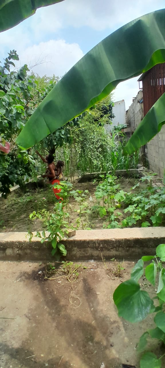 Venda do terreno de 15/15  na robaldina  - Imagem 2