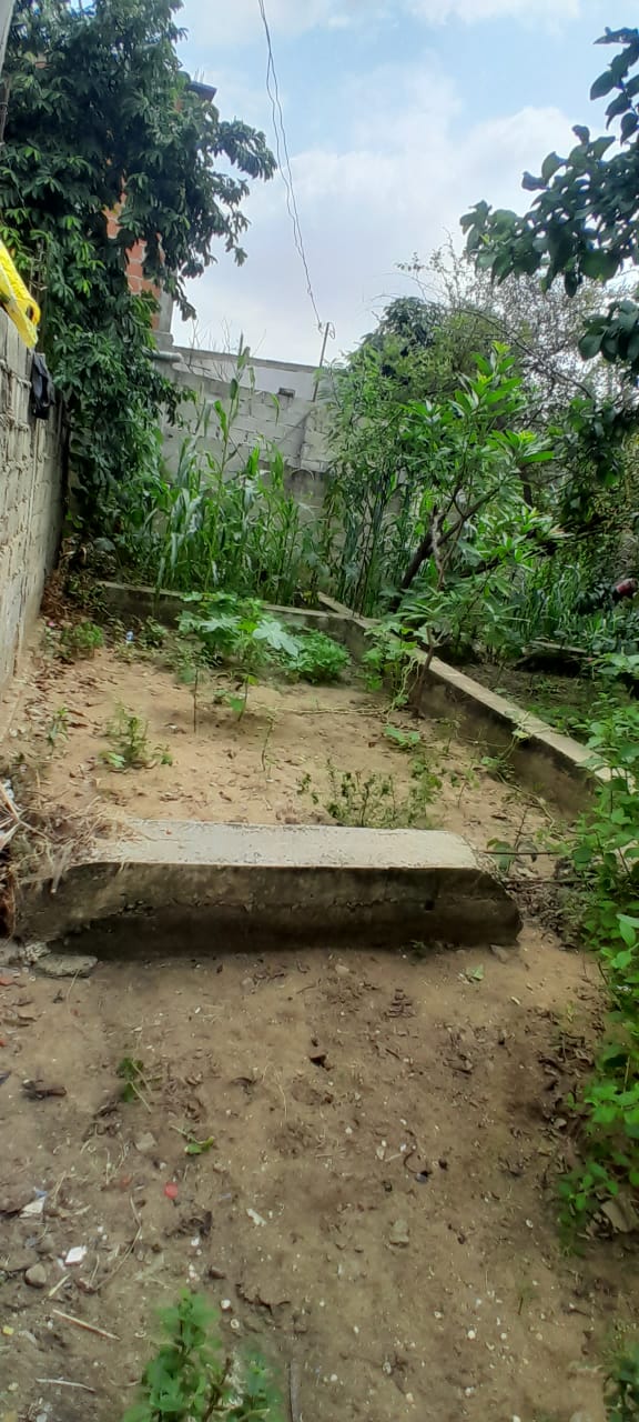 Venda do terreno de 15/15  na robaldina  - Imagem 3
