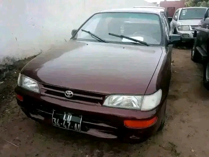 Corolla Rabo de PATO 