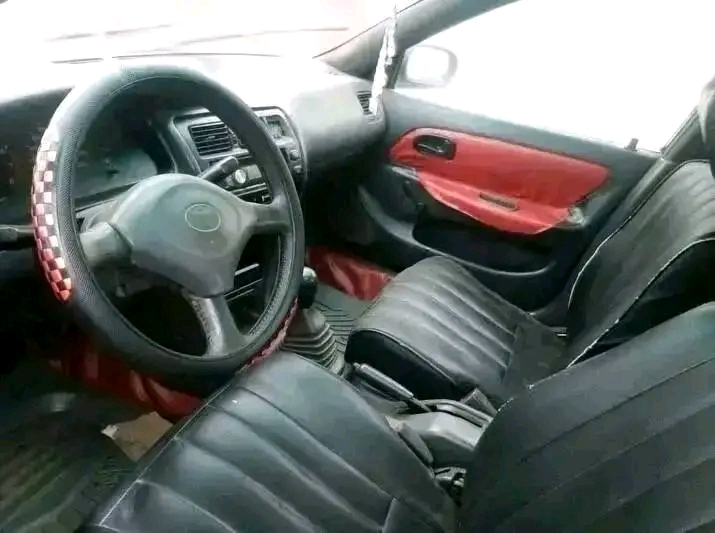 Corolla Rabo de PATO  - Imagem 2