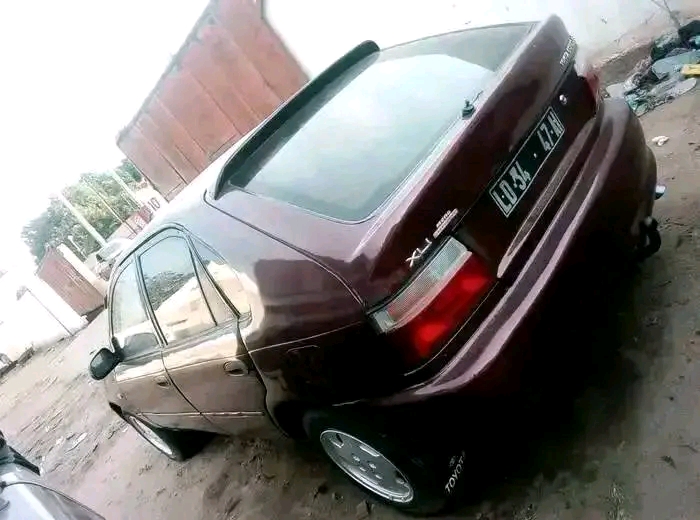 Corolla Rabo de PATO  - Imagem 3